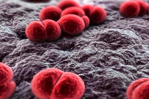 Dia Mundial de Combate à Meningite: saiba como agem os novos testes rápidos de diagnóstico da doença