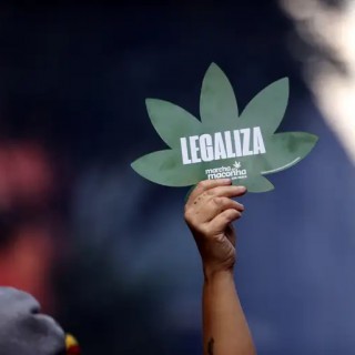 porte de maconha para fouso pessoal